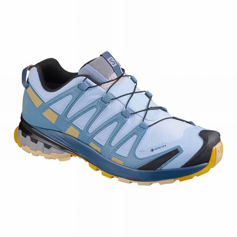 Buty Do Biegania W Terenie Damskie Salomon XA PRO 3D V8 GORE-TEX - Niebieskie - Polska (605-DNWXYM)